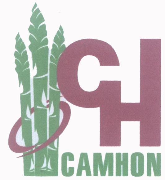 Mẫu nhãn hiệu CAMHON CH