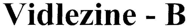 Mẫu nhãn hiệu Vidlezine - B