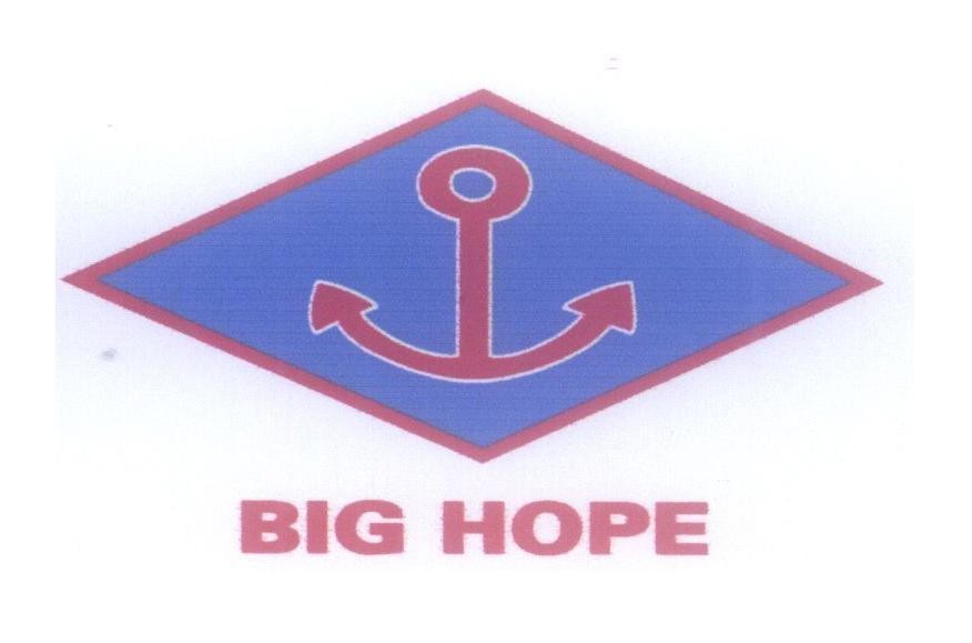 Mẫu nhãn hiệu BIG HOPE