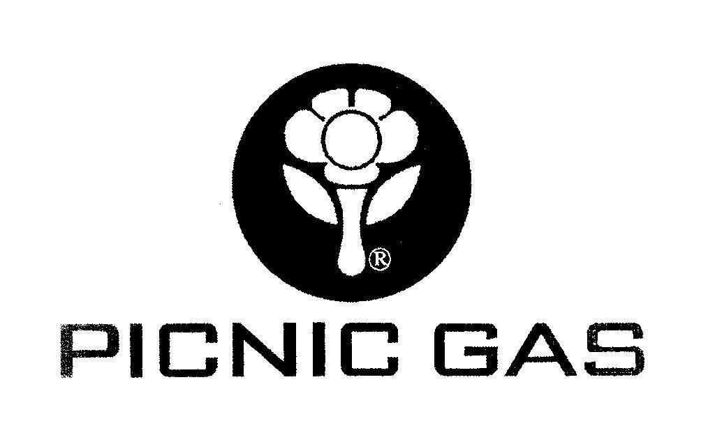 Mẫu nhãn hiệu PICNIC GAS