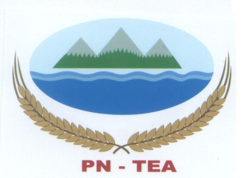 Mẫu nhãn hiệu PN - TEA