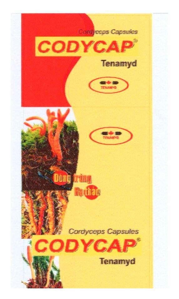 Mẫu nhãn hiệu Cordyceps Capsules CODYCAP Tenamyd Đông trùng Hạ thảo