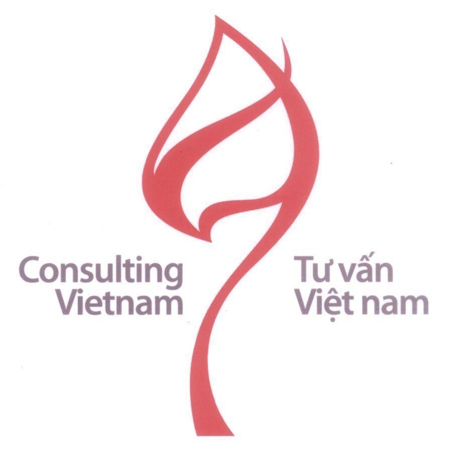 Mẫu nhãn hiệu Consulting Vietnam Tư vấn Việt nam