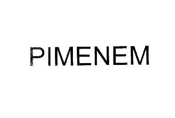 Mẫu nhãn hiệu PIMENEM