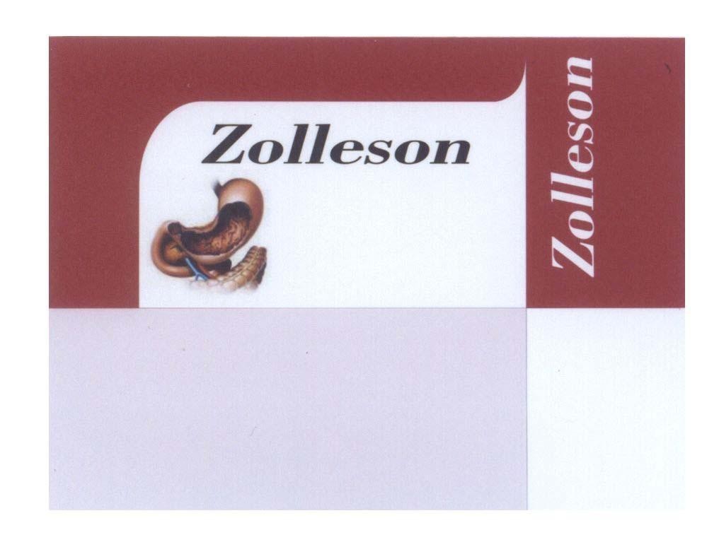 Mẫu nhãn hiệu Zolleson