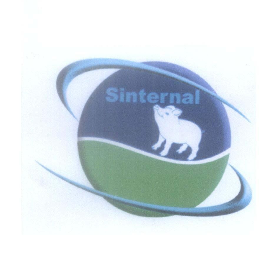 Mẫu nhãn hiệu Sinternal