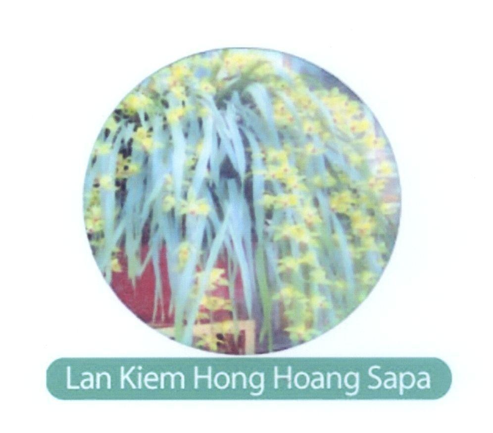 Mẫu nhãn hiệu Lan Kiem Hong Hoang Sapa