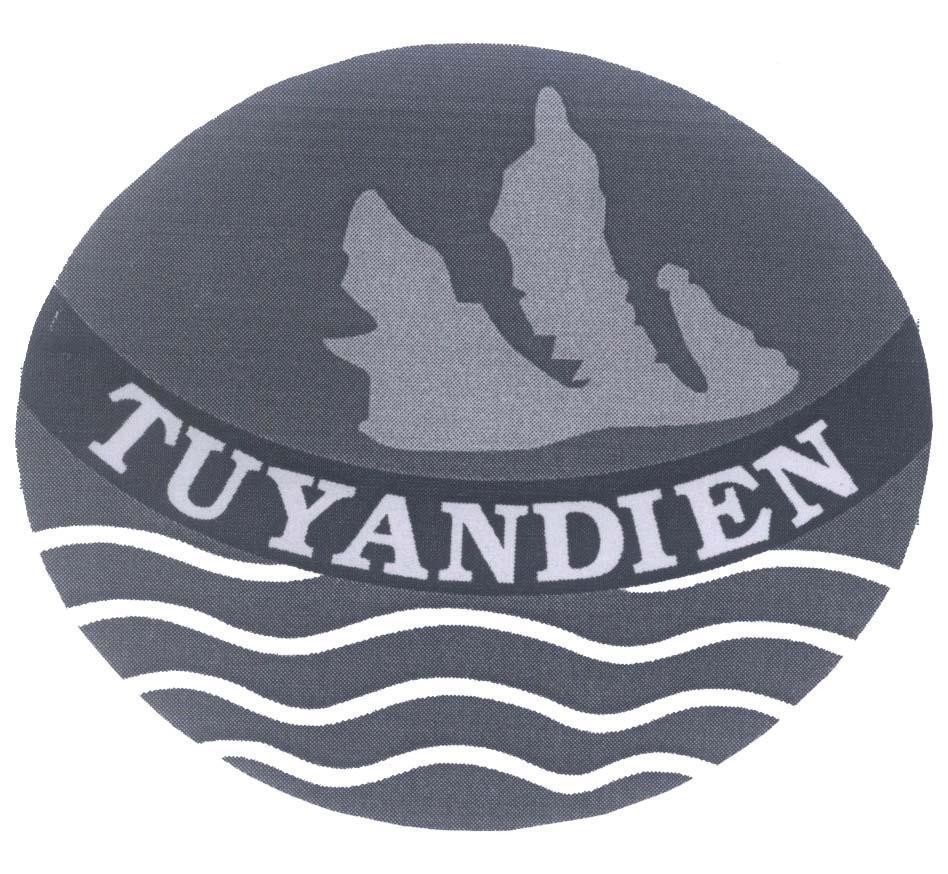 Mẫu nhãn hiệu TUYANDIEN