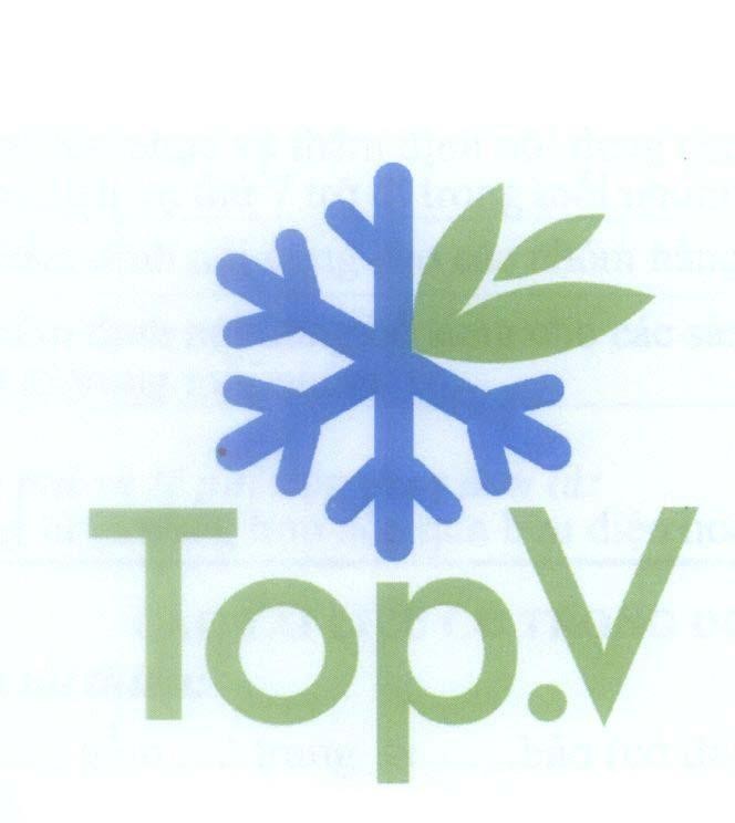 Mẫu nhãn hiệu Top.V