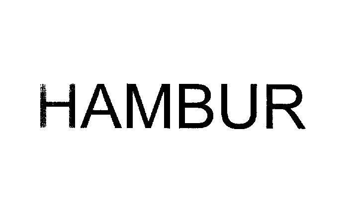 Mẫu nhãn hiệu HAMBUR