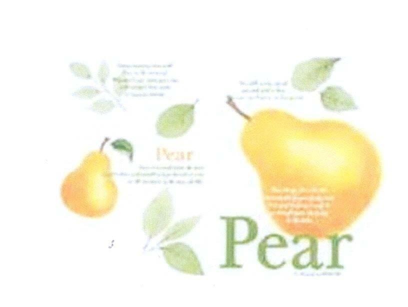 Mẫu nhãn hiệu Pear