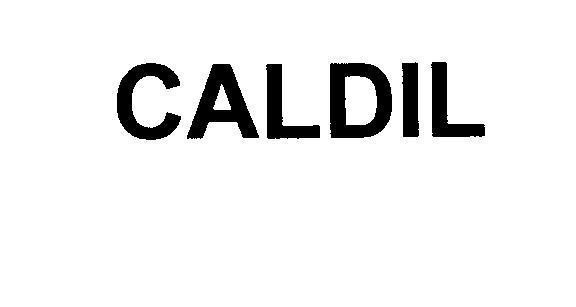 Mẫu nhãn hiệu CALDIL