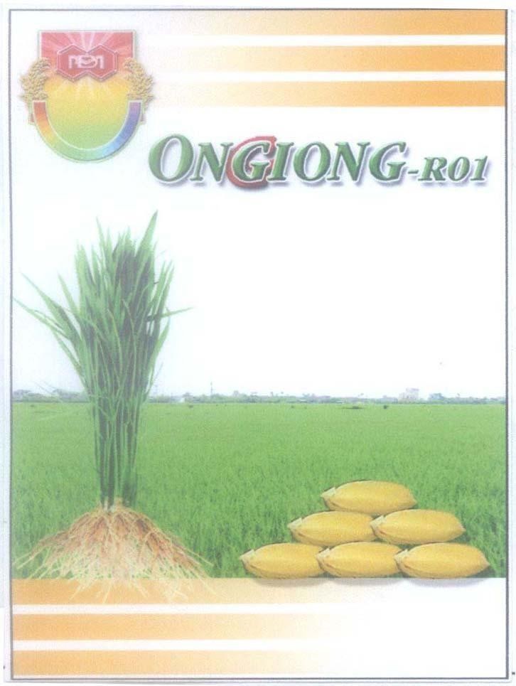 Mẫu nhãn hiệu ONGIONG-R01 MĐ M Đ