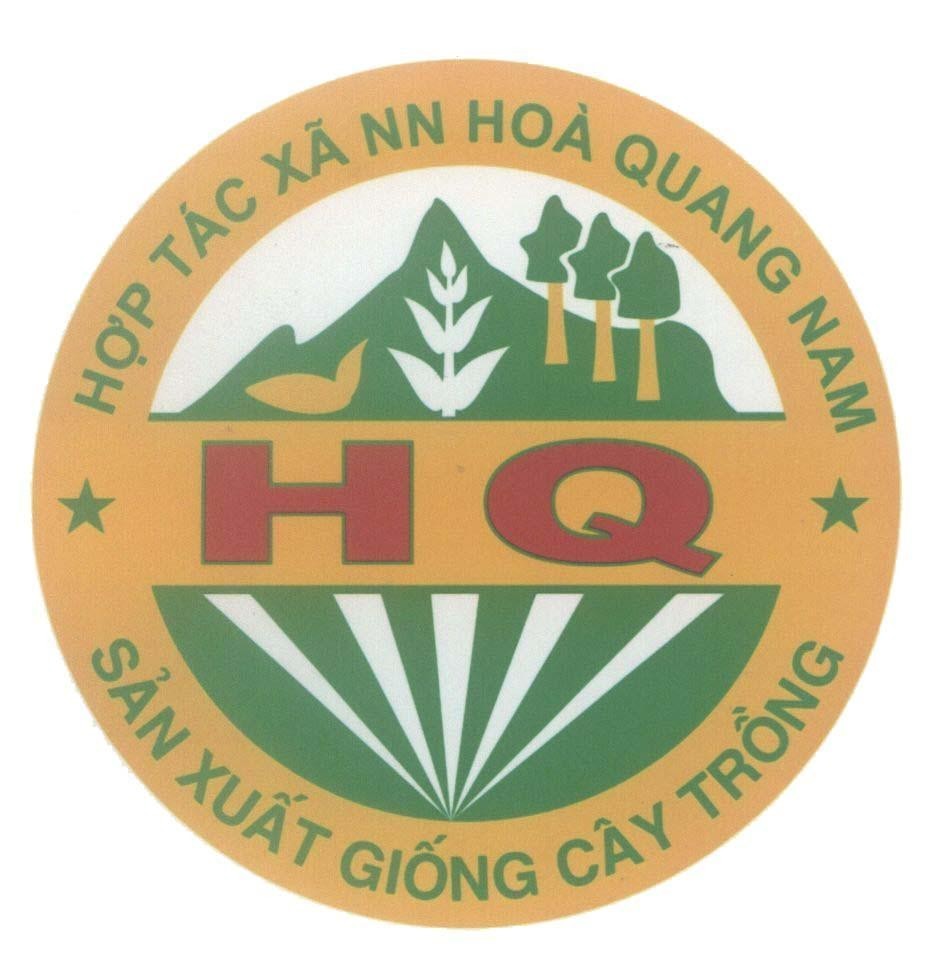 Mẫu nhãn hiệu Hợp Tác Xã NN Hoà Quảng Nam HQ Sản Xuất Giống Cây Trồng