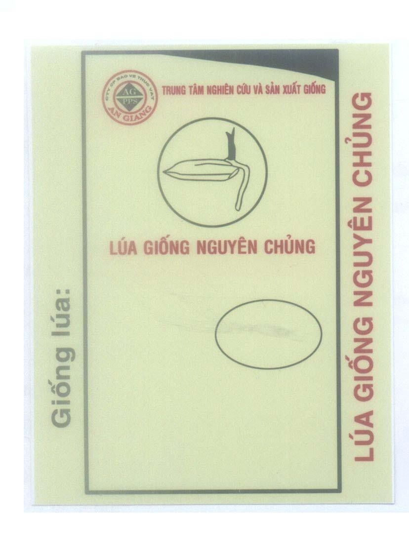 Mẫu nhãn hiệu Lúa giống nguyên chủng Trung tâm nghiên cứu và sản xuất giống AG PPS An Giang...