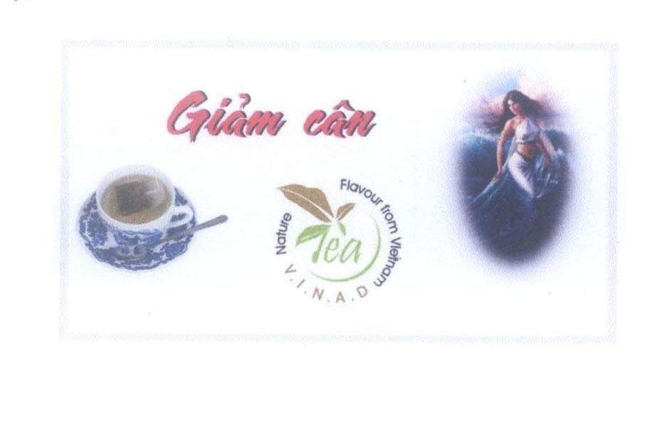Mẫu nhãn hiệu V.I.N.A.D VINAD Tea Giảm cân Nature Flavour from Vietnam