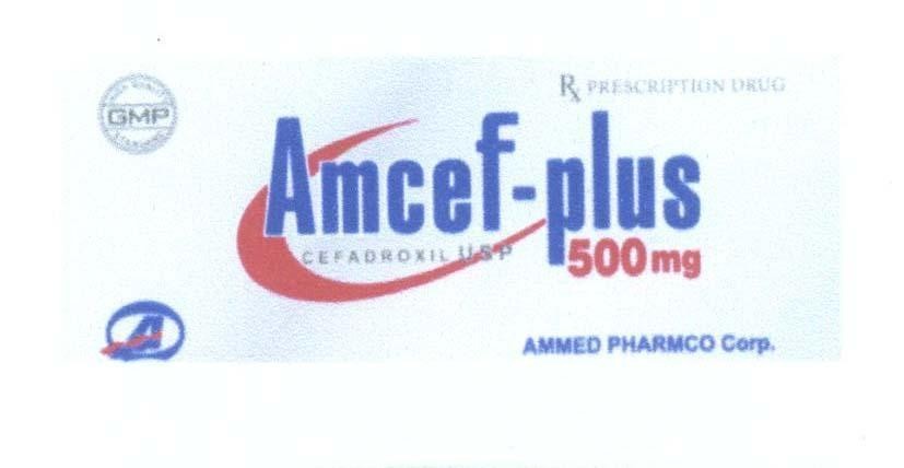Mẫu nhãn hiệu Amcef-plus GMP RX PRESCRIPTION DRUG AMMED PHARMCO Corp. Amcef CEFADROXIL USP High Quality Standard