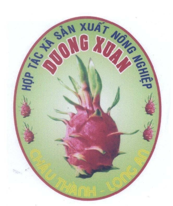 Mẫu nhãn hiệu Hợp Tác Xã Sản Xuất Nông Nghiệp DUONG XUAN CHAU THANH LONG AN