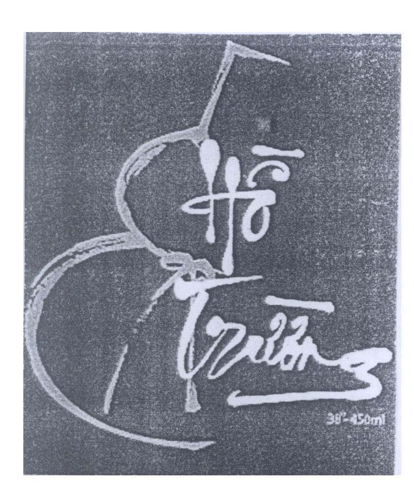 Mẫu nhãn hiệu Hồ Trường