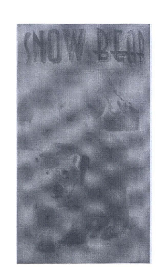 Mẫu nhãn hiệu SNOW BEAR