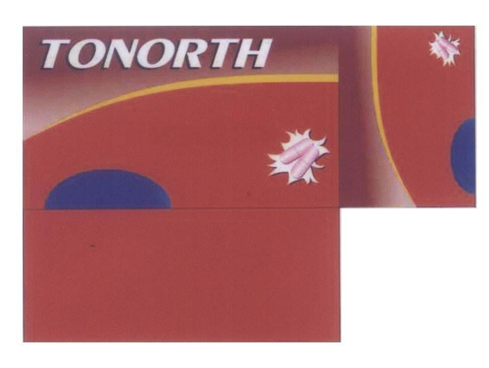 Mẫu nhãn hiệu TONORTH