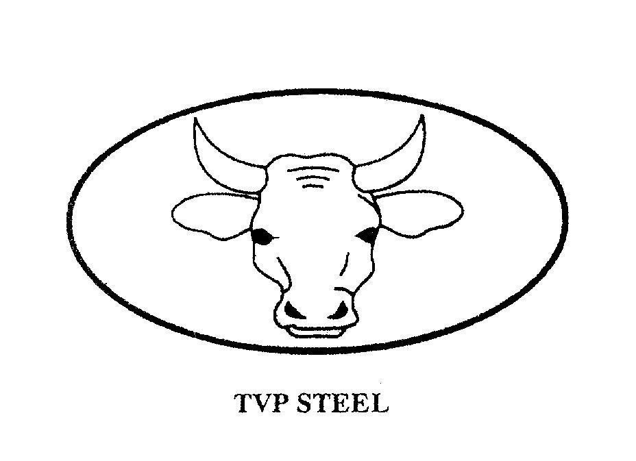 Mẫu nhãn hiệu TVP STEEL
