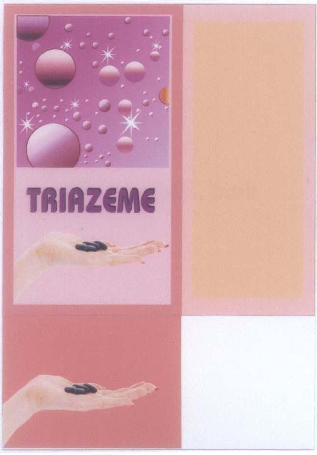 Mẫu nhãn hiệu TRIAZEME