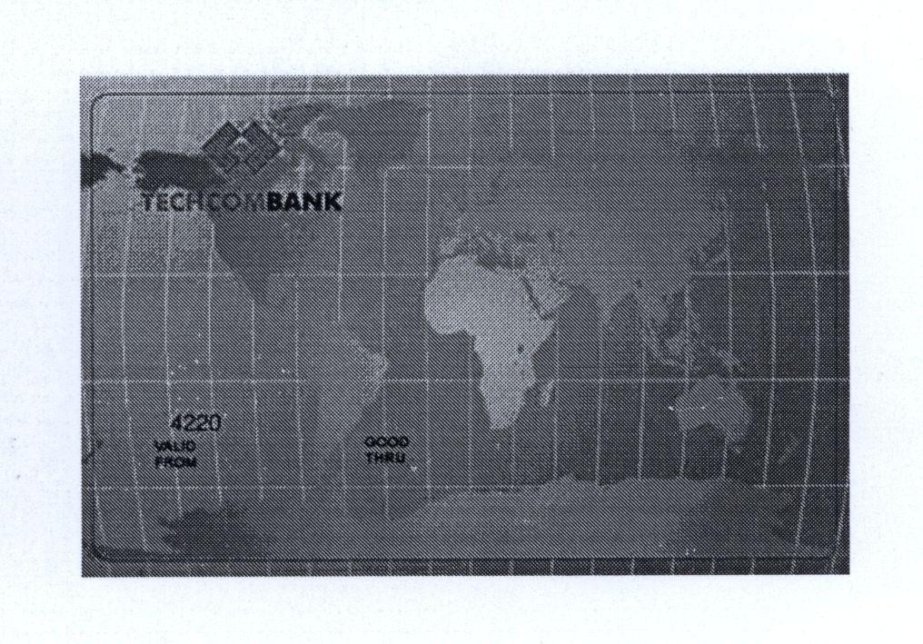 Mẫu nhãn hiệu TECHCOMBANK 4220 VALID FROM GOOD THRU
