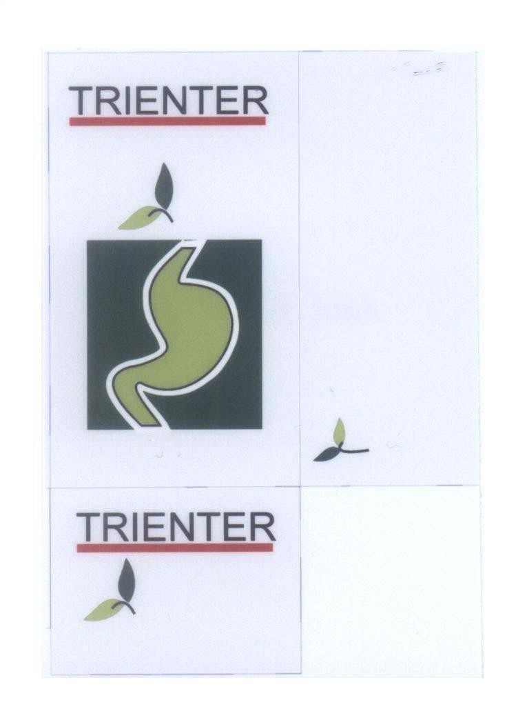 Mẫu nhãn hiệu TRIENTER