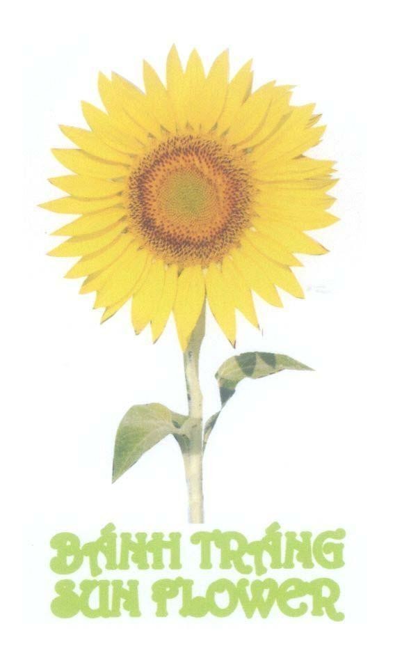 Mẫu nhãn hiệu Bánh Tráng SUN FLOWER
