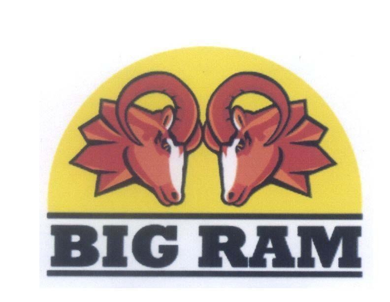 Mẫu nhãn hiệu BIG RAM