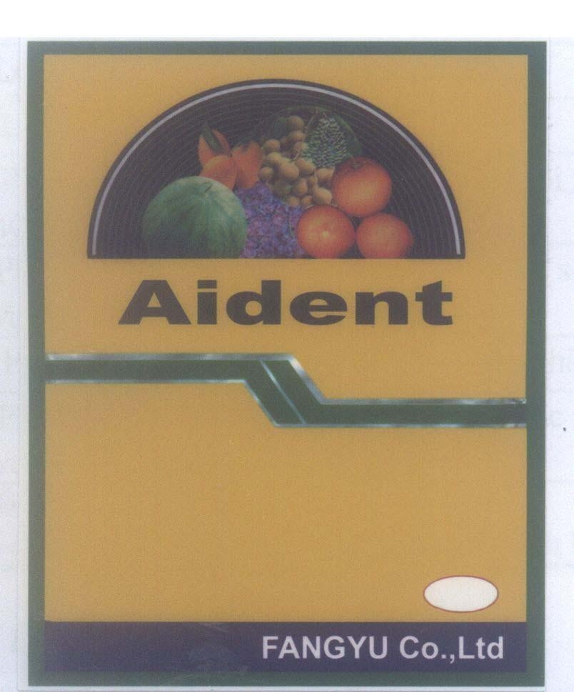 Mẫu nhãn hiệu Aident FANGYU Co., Ltd