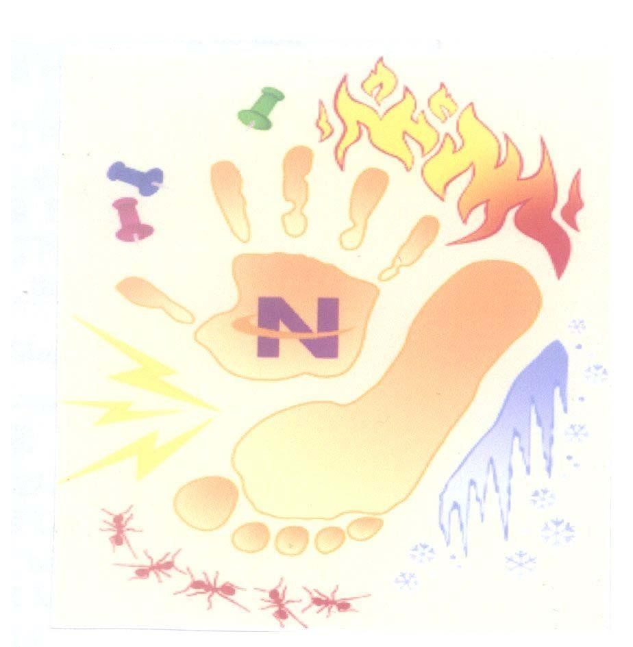 Mẫu nhãn hiệu N