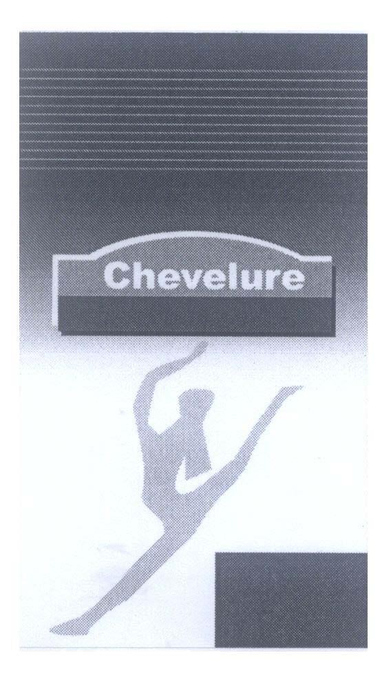 Mẫu nhãn hiệu Chevelure