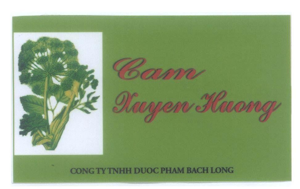 Mẫu nhãn hiệu Cam Xuyen Huong CONG TY TNHH DUOC PHAM BACH LONG