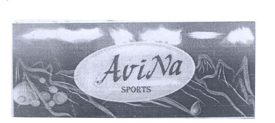Mẫu nhãn hiệu AviNa SPORTS