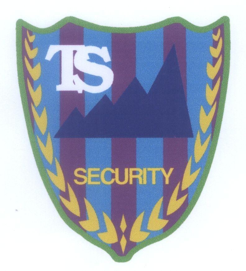 Mẫu nhãn hiệu TS SECURITY