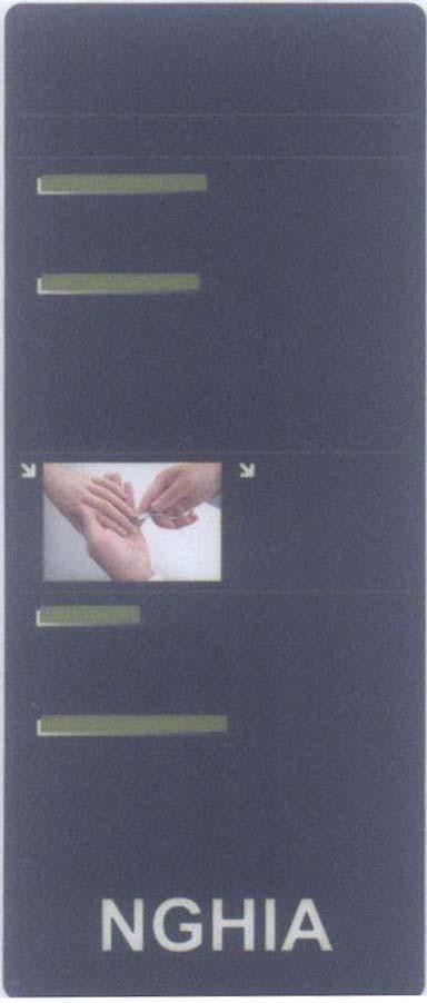 Mẫu nhãn hiệu NGHIA