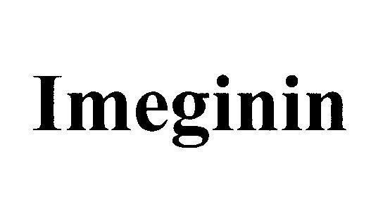 Mẫu nhãn hiệu Imeginin