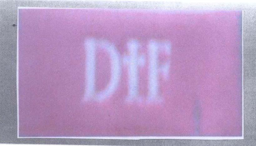 Mẫu nhãn hiệu DIF