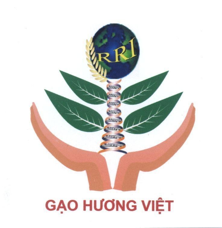 Mẫu nhãn hiệu RRI Gạo Hương Việt