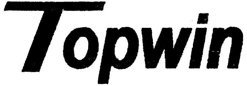 Mẫu nhãn hiệu Topwin