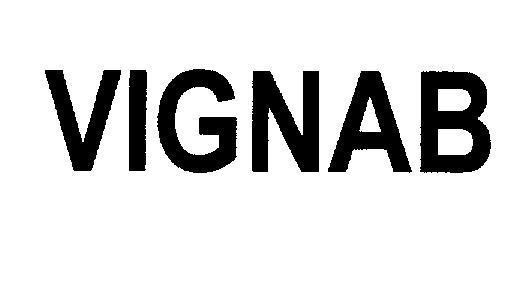 Mẫu nhãn hiệu VIGNAB