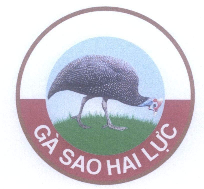Mẫu nhãn hiệu Gà Sao Hai Lực