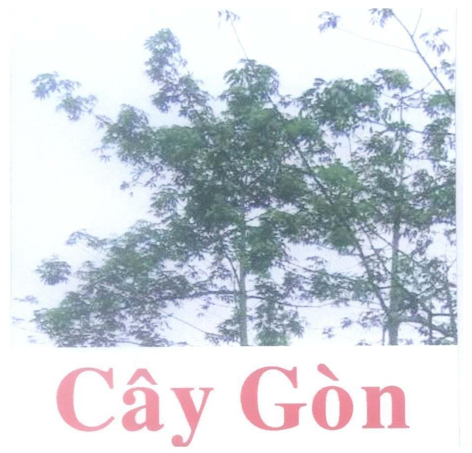 Mẫu nhãn hiệu Cây Gòn
