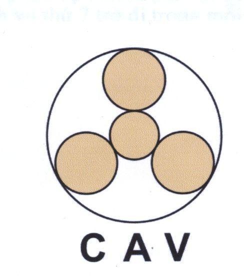 Mẫu nhãn hiệu CAV