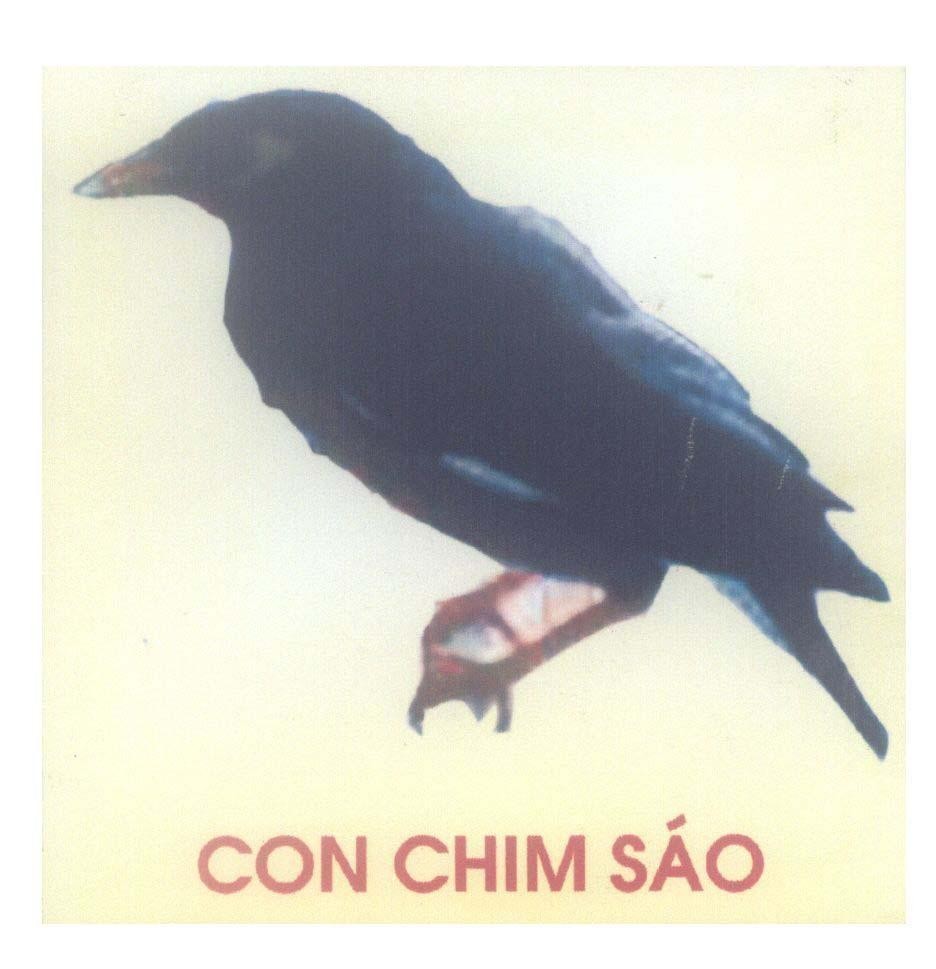 Mẫu nhãn hiệu Con Chim Sáo
