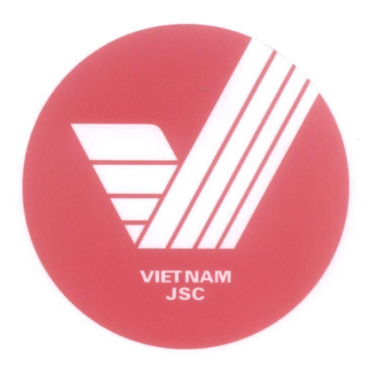 Mẫu nhãn hiệu V VIETNAM JSC