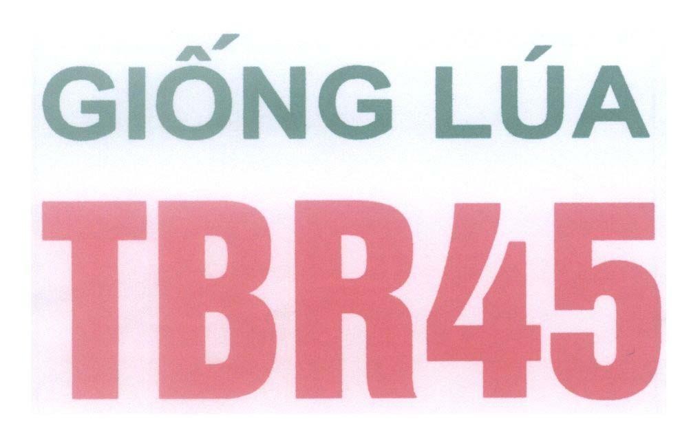 Mẫu nhãn hiệu Giống Lúa TBR45