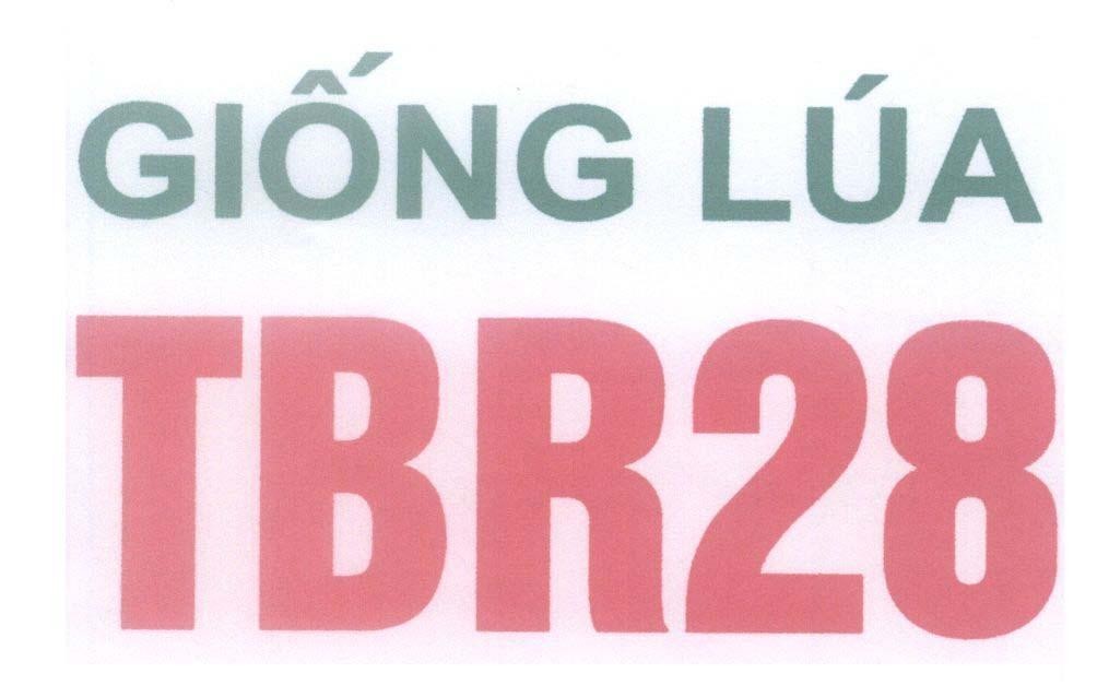 Mẫu nhãn hiệu Giống Lúa TBR28